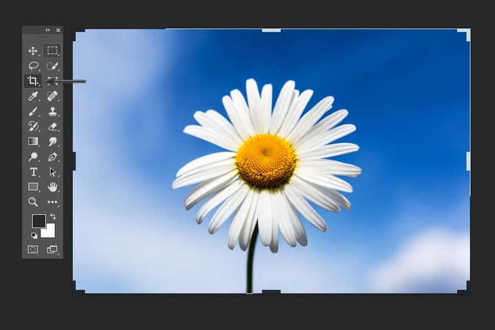 How To Crop In Photoshop
